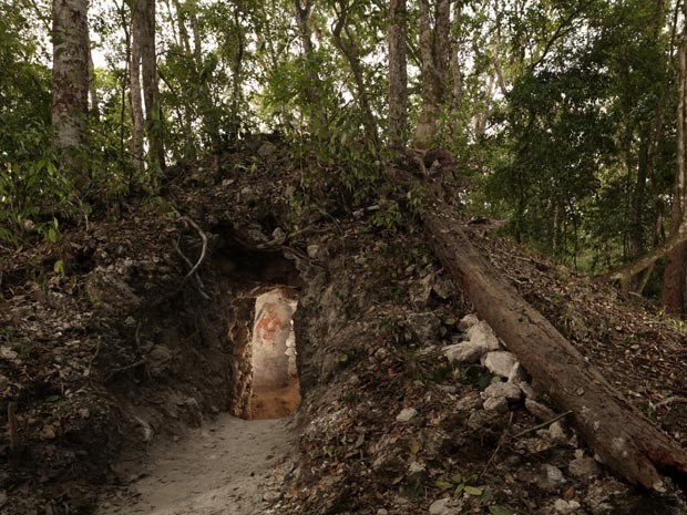 Sala com as pinturas estava cercada por árvores na Guatemala (Foto: Tyrone Turner/National Geographic/Divulgação)