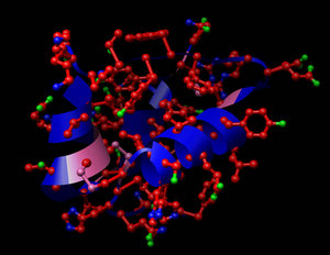 A Estrutura da insulina Vermelho: carbono;  verde: Oxigênio;  azul: nitrogênio;  rosa: Enxofre.  Como Fitas roxas / Azuis indicam o esqueleto [-NCC-] n na Sequência de Aminoacidos da proteína H a - [- NH-CHR-CO-] n-OH em R that E uma parte that sobressai fazer esqueleto em Cada hum dos Aminoacidos .