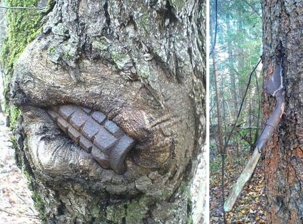 Uma granada (talvez ainda funcional) aparece enfincada em uma árvore, à esquerda, e uma pá de um sapador se desintegra dentro da árvore à direita
