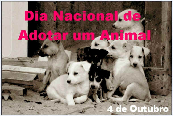 Dia Nacional de Adotar um Animal