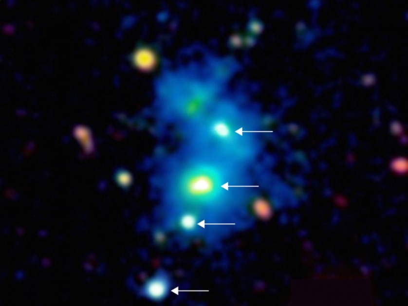 quasar quadruplo