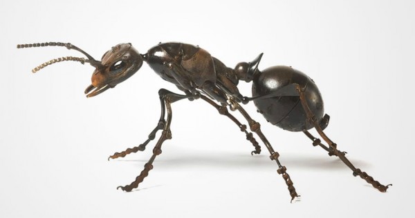 insect-sculptures-edouard-martinet-14