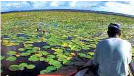 Macapá