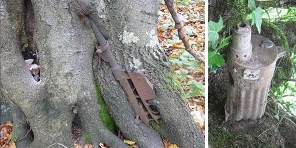 Os restos de um rifle Mannlicher-Carcano descansam contra o tronco da árvore à esquerda, e uma metralhadora Maxim sai do chão, à direita