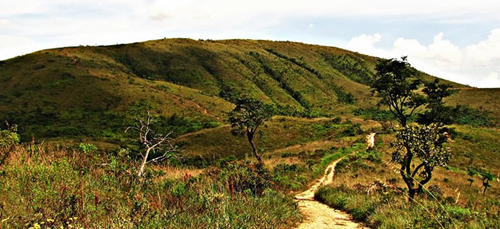 Dia Nacional do Cerrado