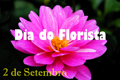 Dia do Florista