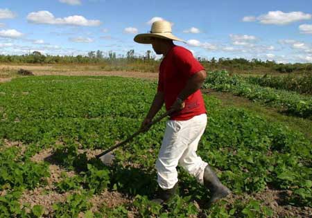 Dia do Agricultor