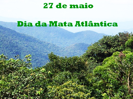 Dia da Mata Atlântica