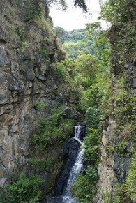 Mata Atlântica no Paraná