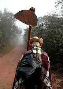 Dia do Trabalhador Rural