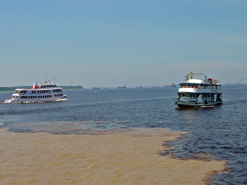 Ficheiro:Manaus Encontro das aguas 10 2006 103 8x6.jpg