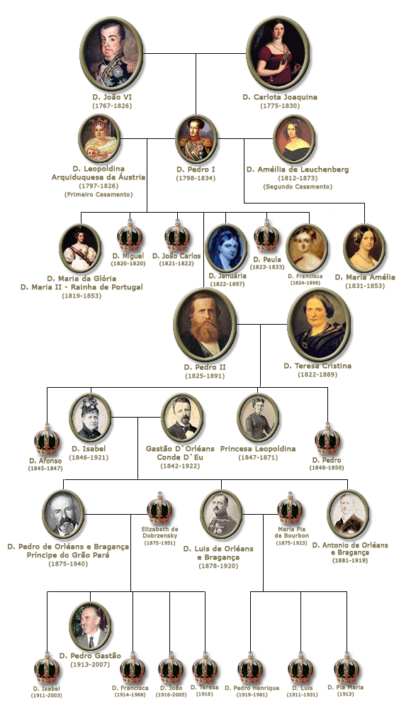 Árvore da família D.João VI