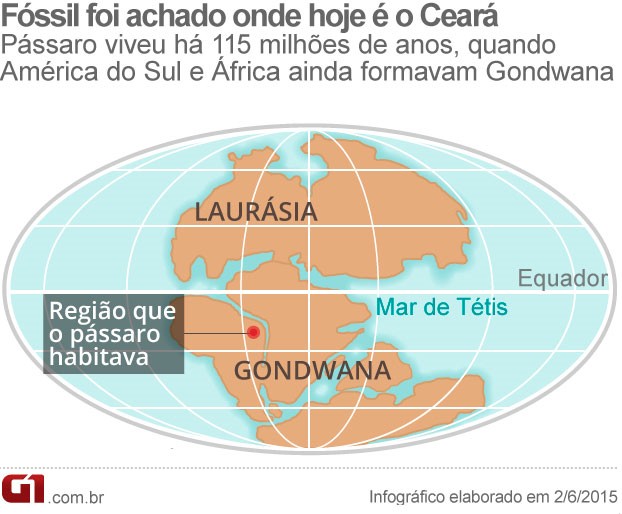 Mapa Fóssil (Foto: Editoria de Arte/G1)